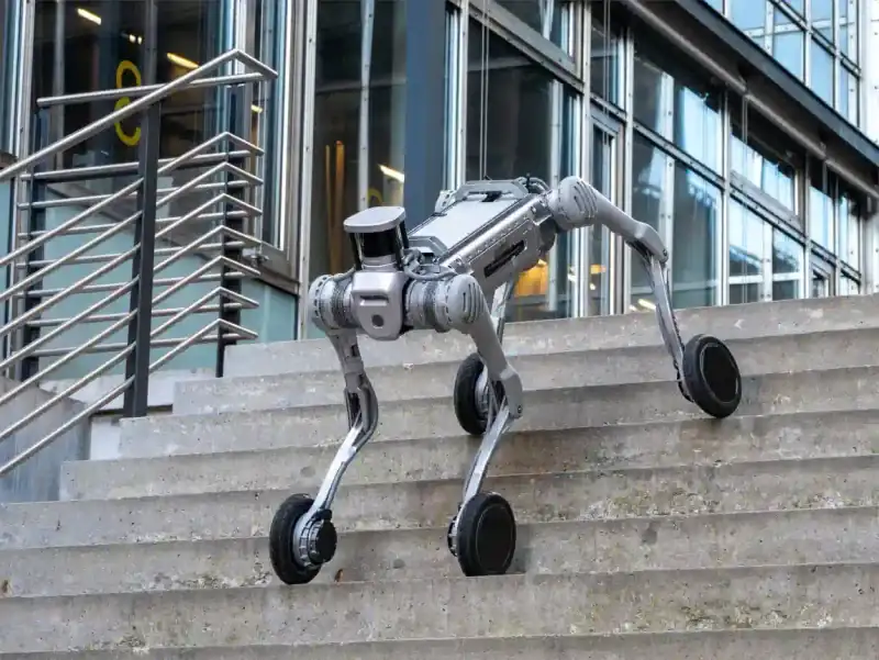 Quadrupeds