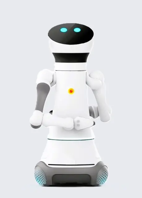 Service Robot